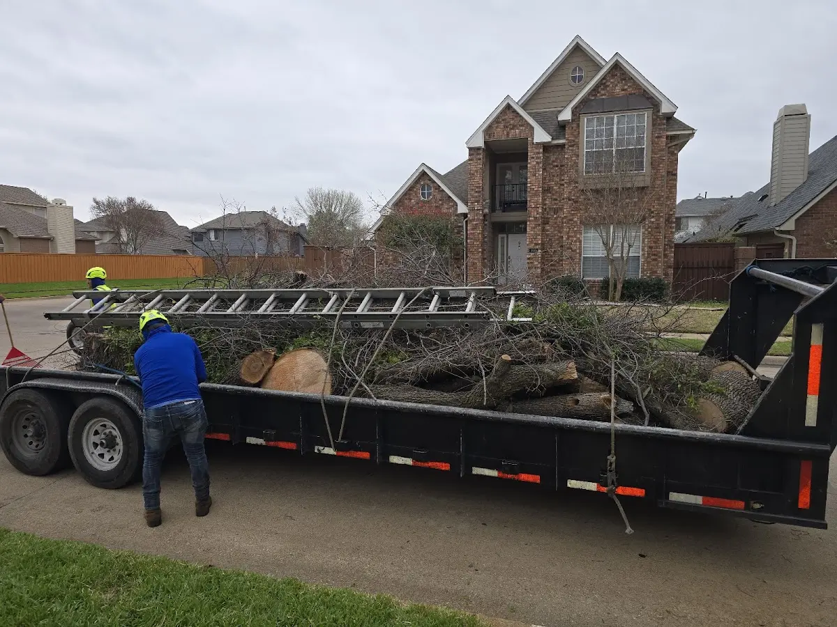 Expert Lot Clearing with proper safety equipment in Kirklin